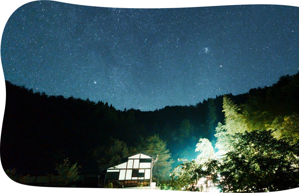 森の小さな秘密基地
