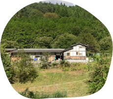 森の小さな秘密基地