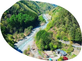 森の小さな秘密基地